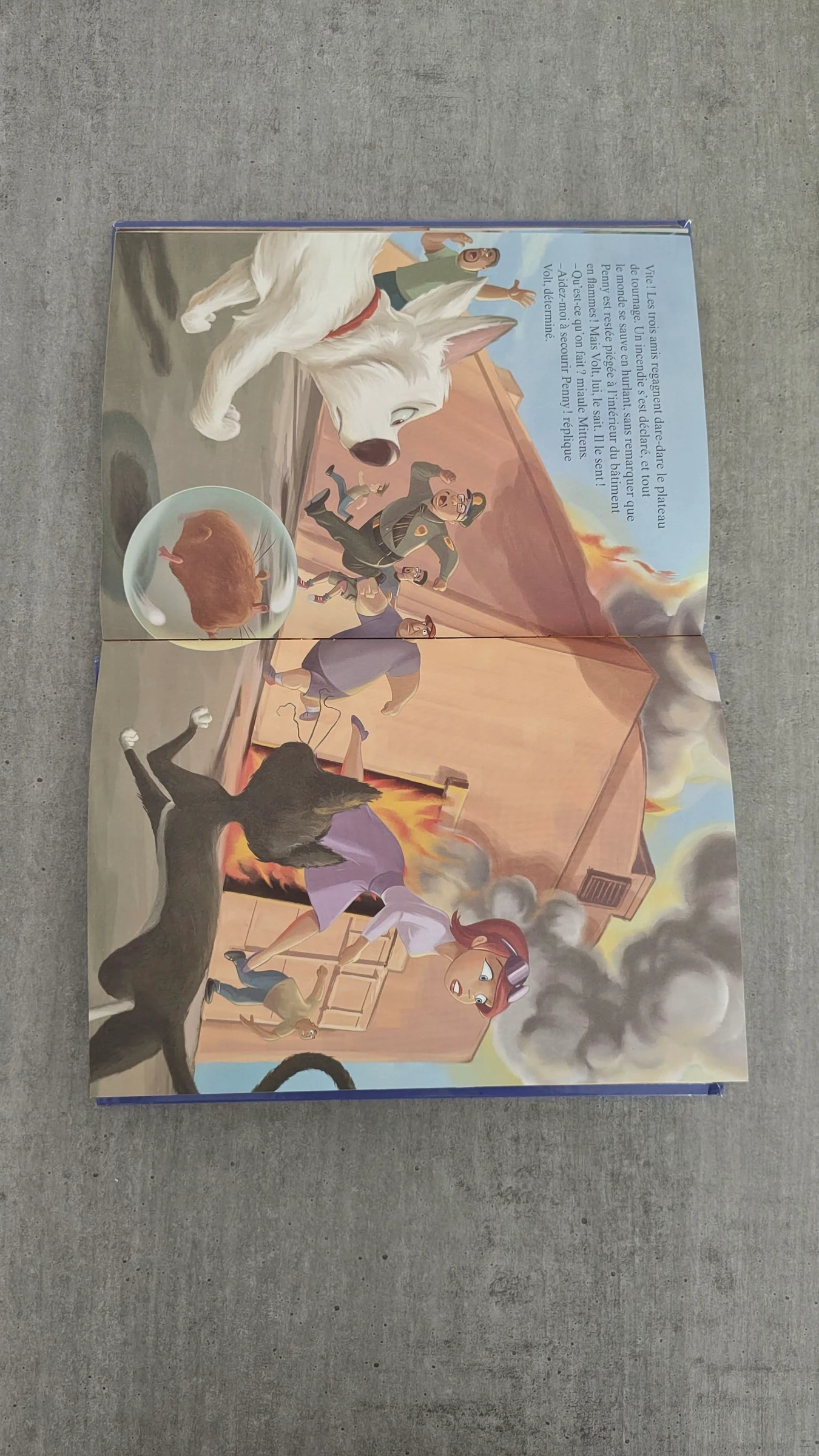 Libro infantil «Volt», estrella a pesar de sí mismo - Disney – photo 8